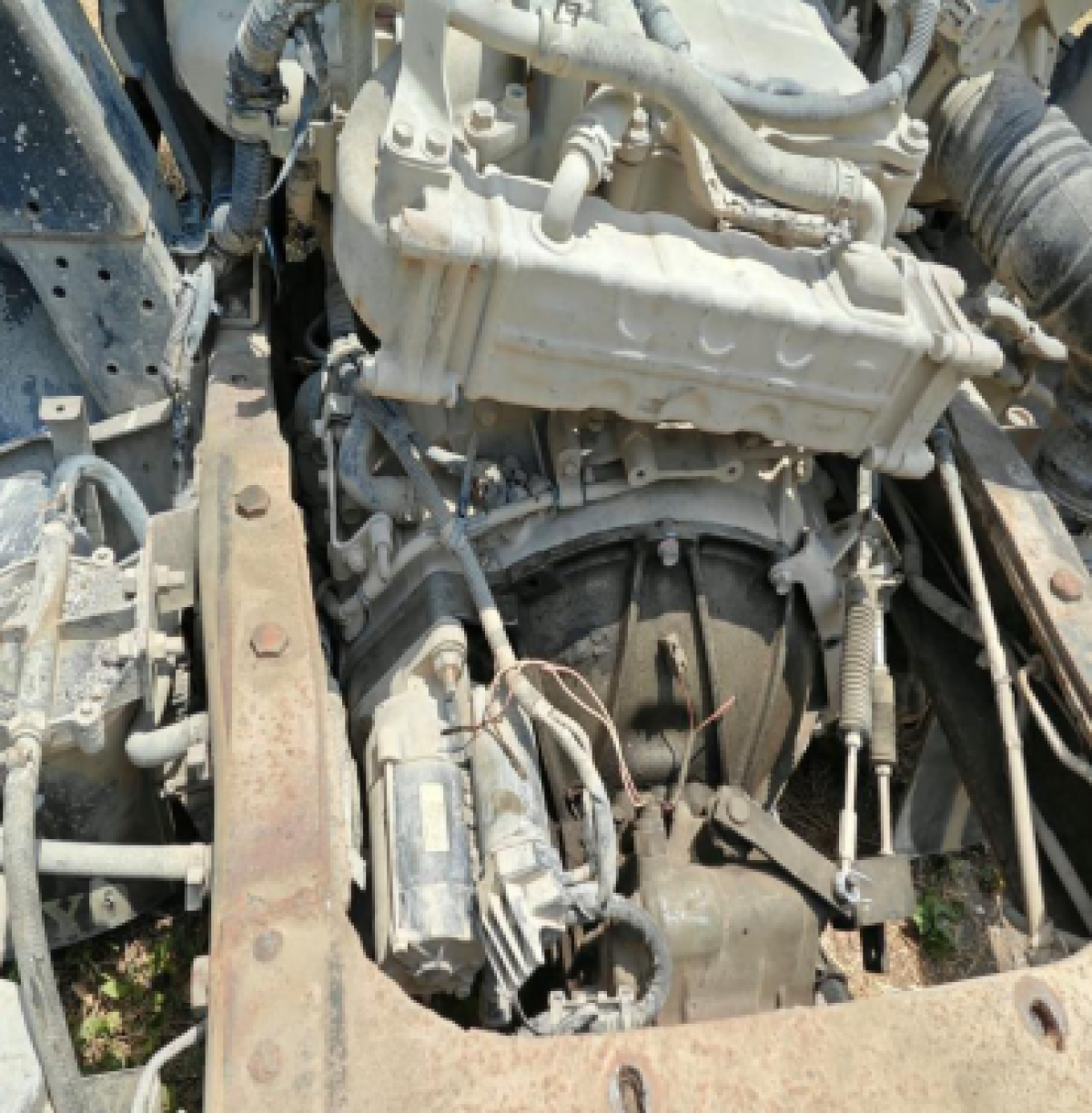 ISUZU  NMR 81U