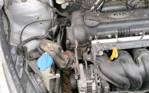 KIA  RIO  1.4