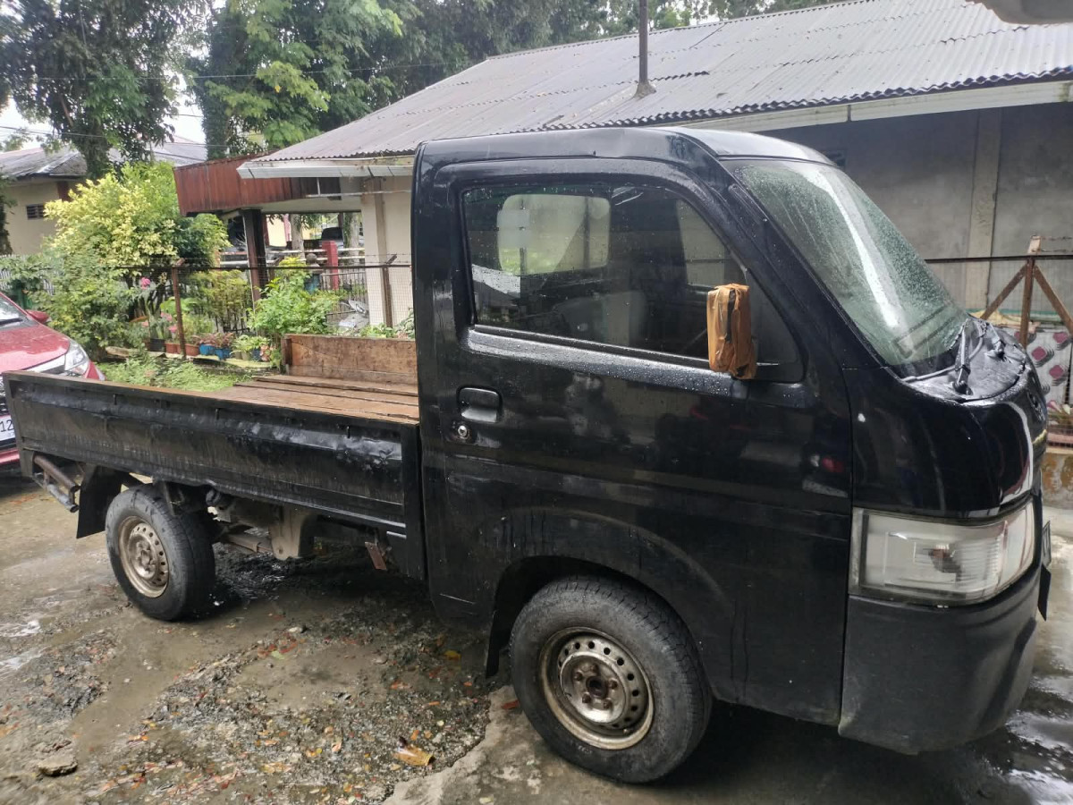SUZUKI CARRY  PU